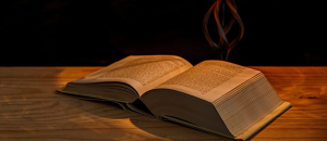 Agencement libéral, agencement décoration dijon, libéral décoration