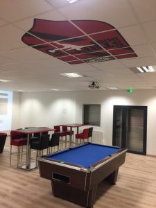 Dalle de plafond imprimée